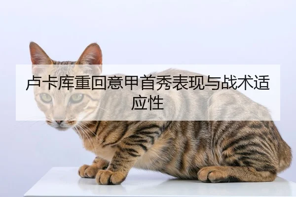 卢卡库重回意甲首秀表现与战术适应性 | biyisports